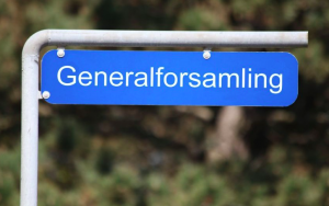 Generalforsamling